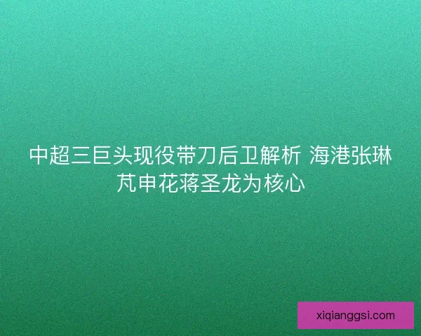 中超三巨头现役带刀后卫解析 海港张琳芃申花蒋圣龙为核心