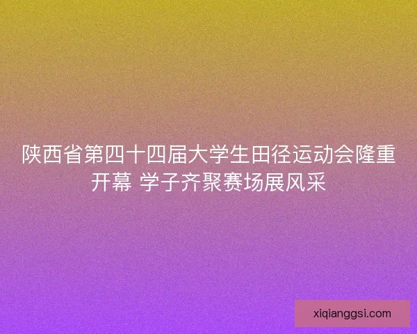 陕西省第四十四届大学生田径运动会隆重开幕 学子齐聚赛场展风采