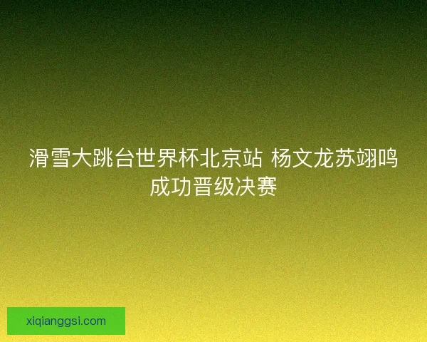 滑雪大跳台世界杯北京站 杨文龙苏翊鸣成功晋级决赛