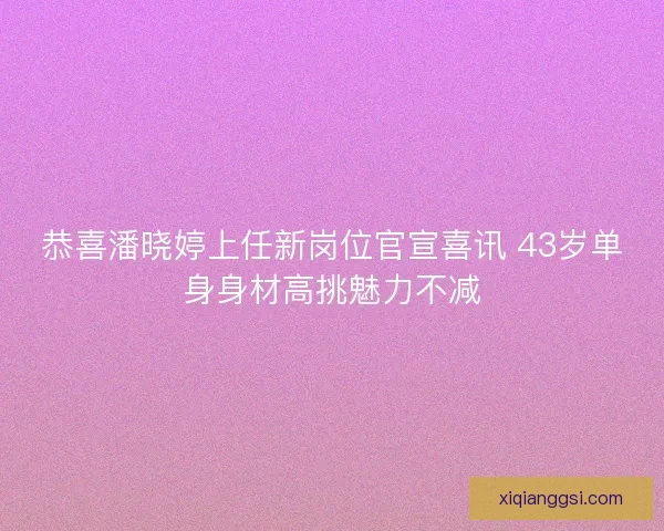 恭喜潘晓婷上任新岗位官宣喜讯 43岁单身身材高挑魅力不减