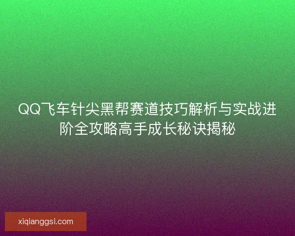 QQ飞车针尖黑帮赛道技巧解析与实战进阶全攻略高手成长秘诀揭秘