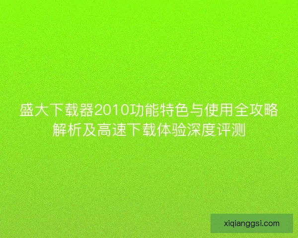 盛大下载器2010功能特色与使用全攻略解析及高速下载体验深度评测